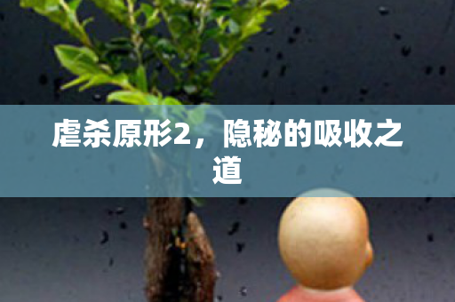 隐秘的吸收之道图片