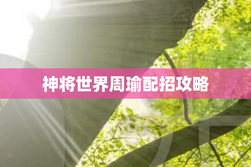 神将世界周瑜配招攻略图片