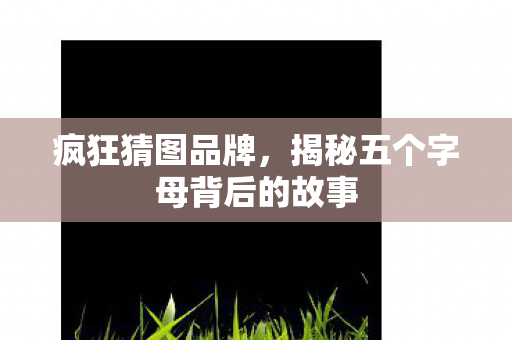 揭秘五个字母背后的故事图片