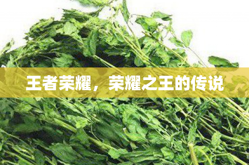 荣耀之王的传说图片