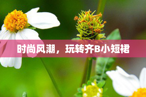 玩转齐B小短裙图片