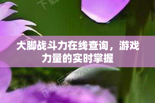 大脚战斗力在线查询图片