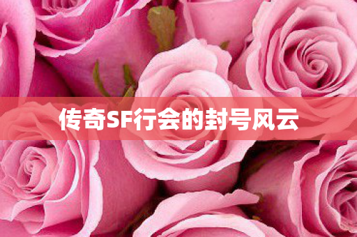 传奇SF行会的封号风云图片