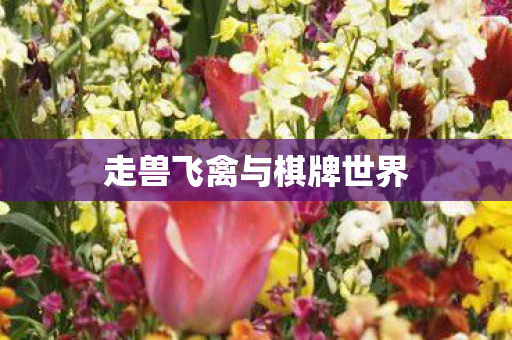 走兽飞禽与棋牌世界图片