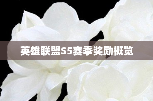 英雄联盟S5赛季奖励概览图片