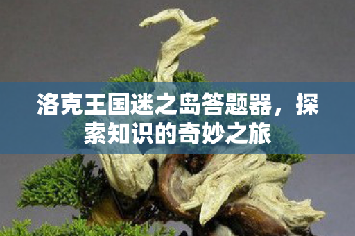 洛克王国迷之岛答题器图片