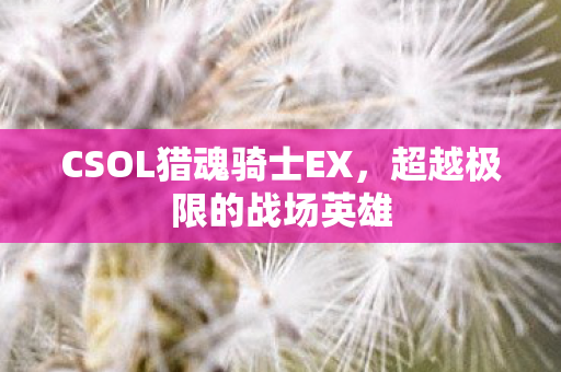 CSOL猎魂骑士EX图片