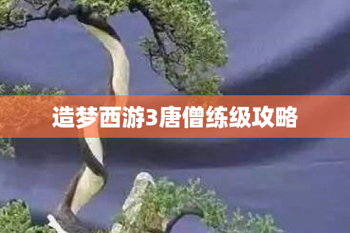 造梦西游3唐僧练级攻略图片