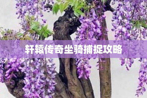 轩辕传奇坐骑捕捉攻略图片