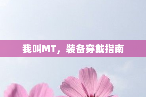 装备穿戴指南图片