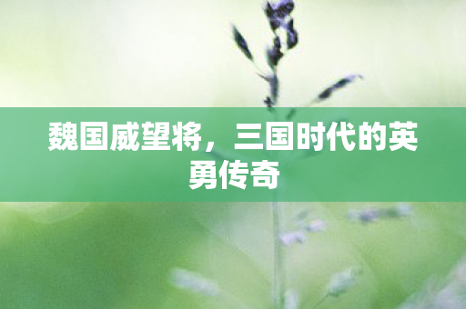三国时代的英勇传奇图片