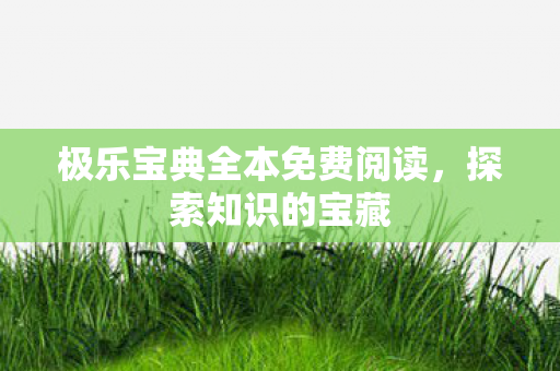 极乐宝典全本免费阅读图片
