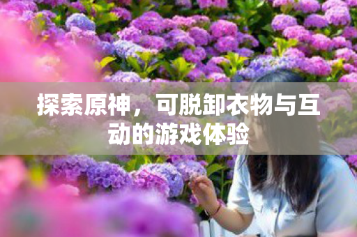 可脱卸衣物与互动的游戏体验图片