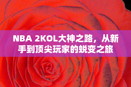 从新手到顶尖玩家的蜕变之旅图片