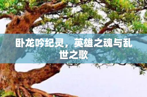 英雄之魂与乱世之歌图片