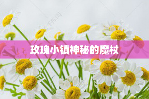 玫瑰小镇神秘的魔杖图片
