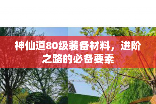 神仙道80级装备材料图片