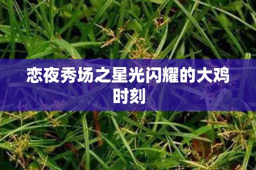 恋夜秀场之星光闪耀的大鸡时刻图片