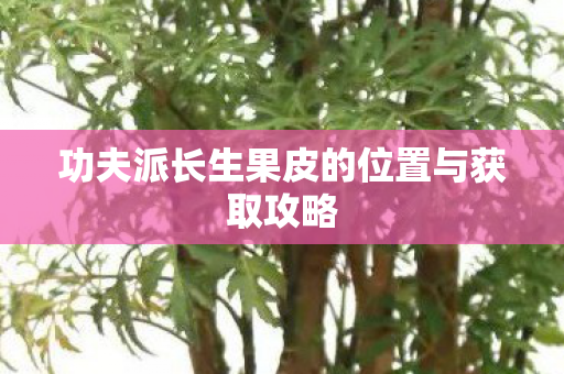 功夫派长生果皮的位置与获取攻略图片