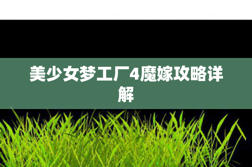 美少女梦工厂4魔嫁攻略详解图片