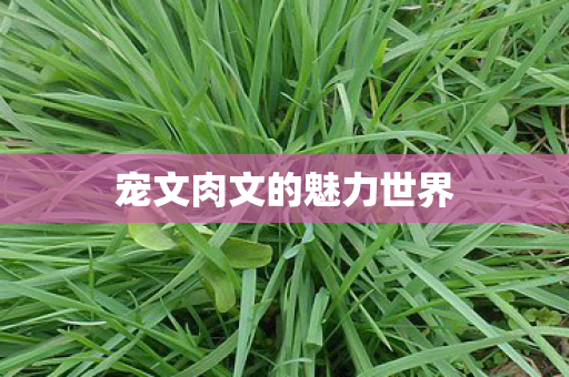 宠文肉文的魅力世界图片