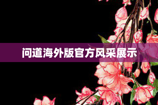 问道海外版官方风采展示图片