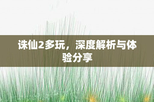 深度解析与体验分享图片