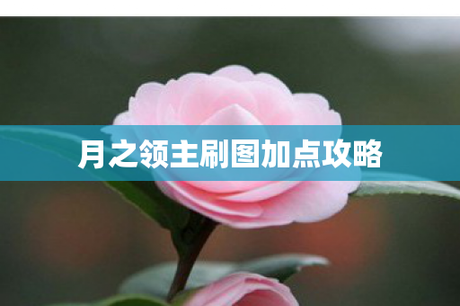 月之领主刷图加点攻略图片