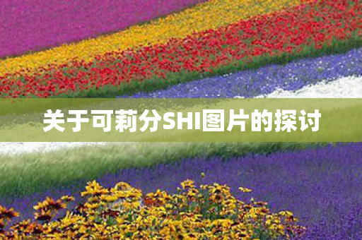 关于可莉分SHI图片的探讨图片