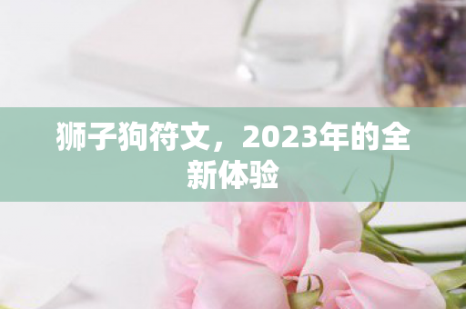 2023年的全新体验图片