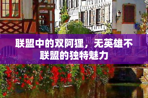 无英雄不联盟的独特魅力图片