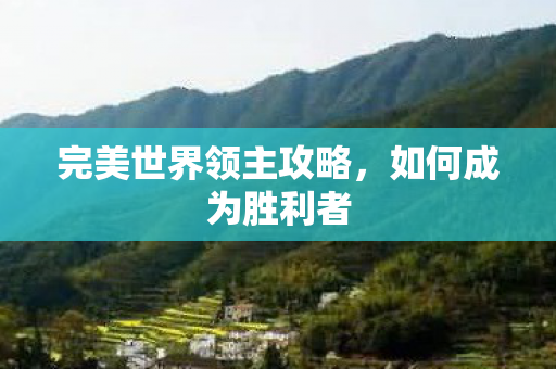 完美世界领主攻略图片