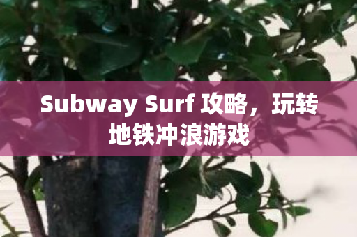 Subway Surf 攻略图片