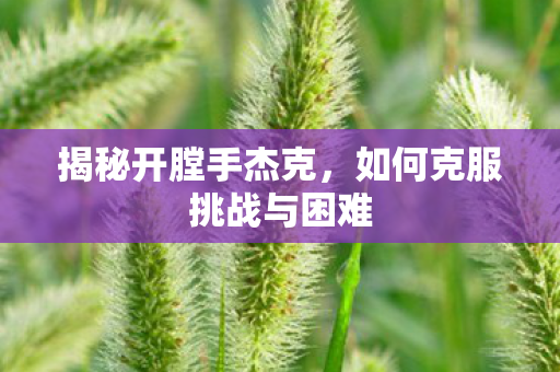 如何克服挑战与困难图片