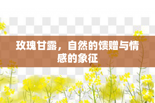 自然的馈赠与情感的象征图片
