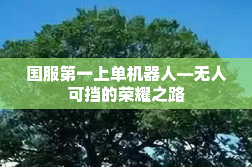 国服第一上单机器人图片