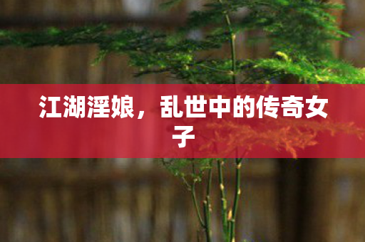 乱世中的传奇女子图片