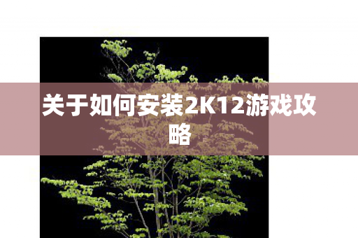 关于如何安装2K12游戏攻略图片