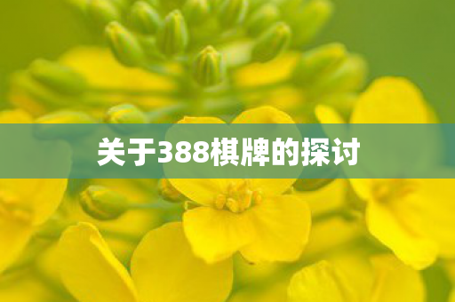 关于388棋牌的探讨图片