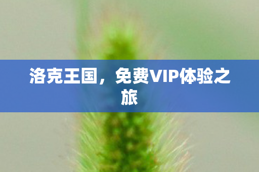 免费VIP体验之旅图片