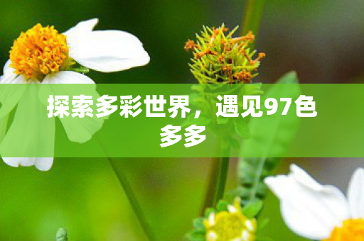 遇见97色多多图片