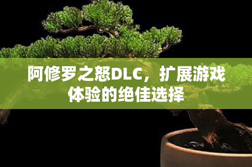扩展游戏体验的绝佳选择图片