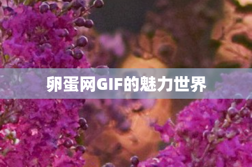 卵蛋网GIF的魅力世界图片