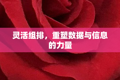 重塑数据与信息的力量图片