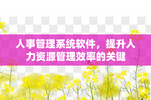 提升人力资源管理效率的关键图片