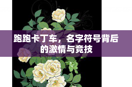 名字符号背后的激情与竞技图片