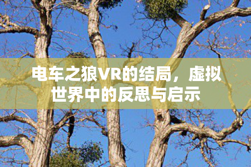 虚拟世界中的反思与启示图片