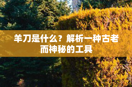 解析一种古老而神秘的工具图片