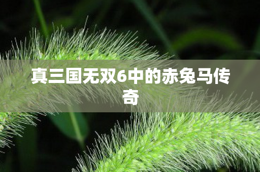 真三国无双6中的赤兔马传奇图片
