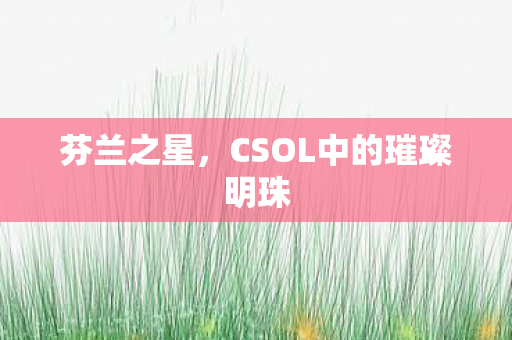 CSOL中的璀璨明珠图片